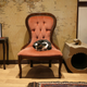 Illustration for article titled Busy? Stressed? Go take a load off at Miss Dinahs Cat Emporium